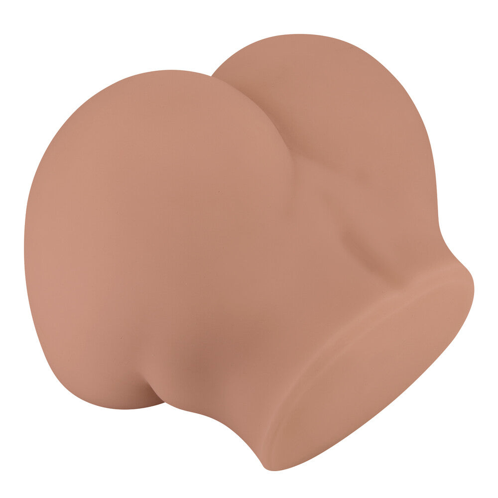 Vagina Artificiale Bernace - immagine 9