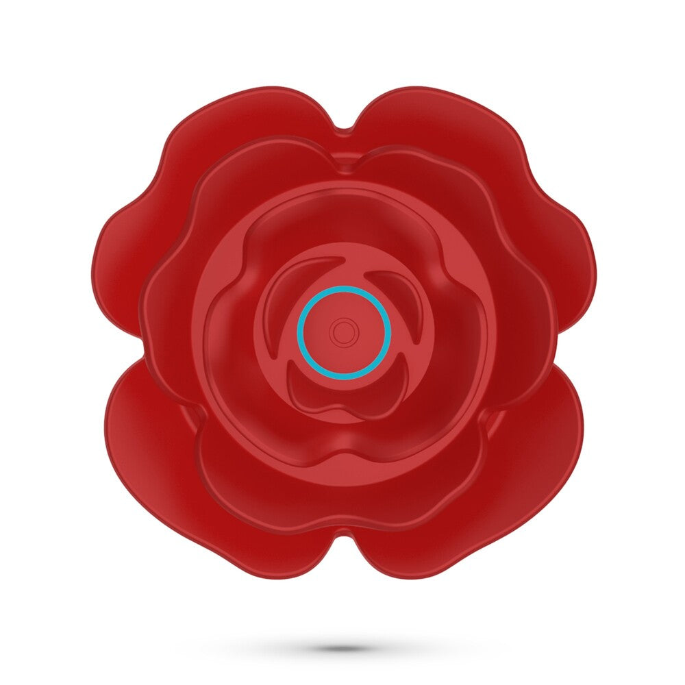 Vibratore Anale Rosaline - immagine 8