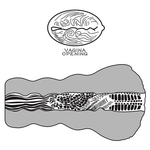 Vagina Artificiale Aliens Pie - immagine 12