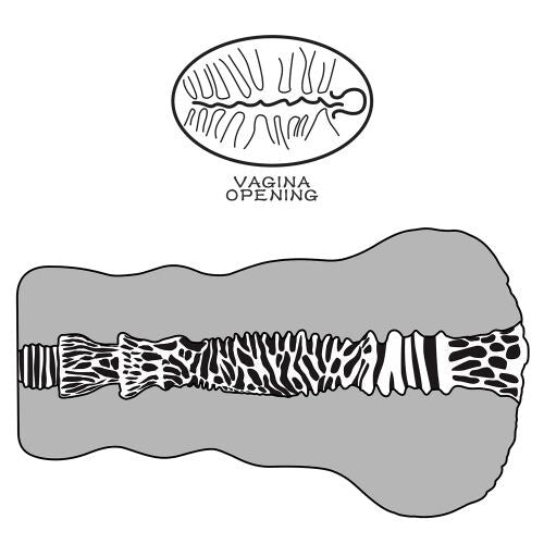 Vagina Artificiale Aliens Pie - immagine 4