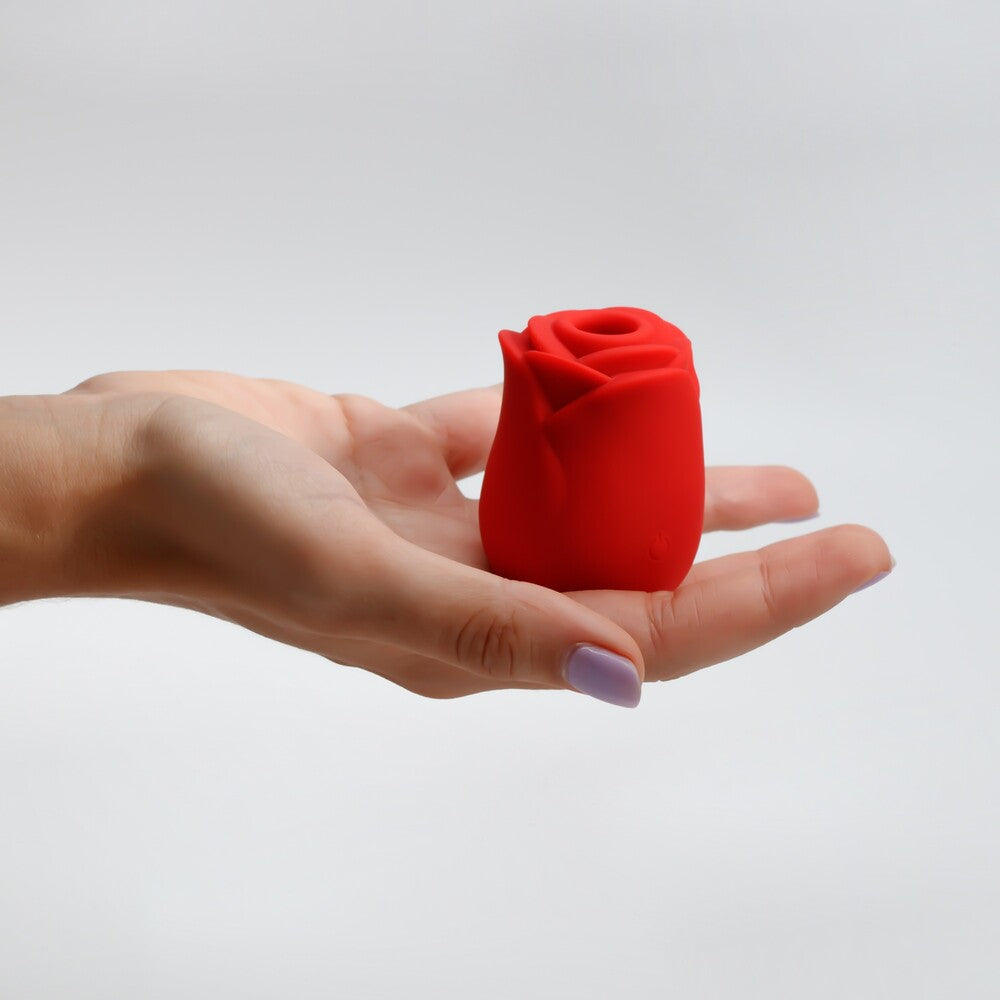 Succhia Clitoride Rosita - immagine 3